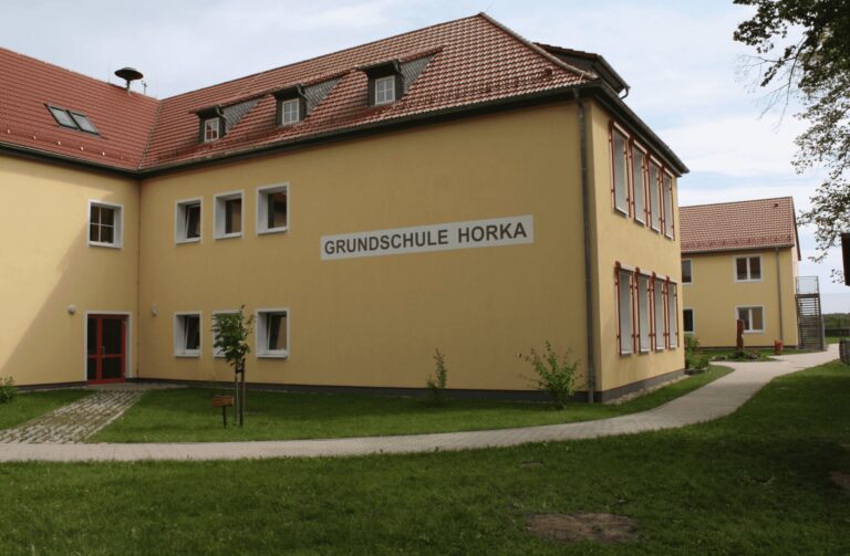 flickr profil 1 1 1 768x503